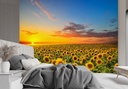 Papier peint rectangulaire avec image d'un champ de tournesols imprimée sur toile avec finition jaune feeby-01