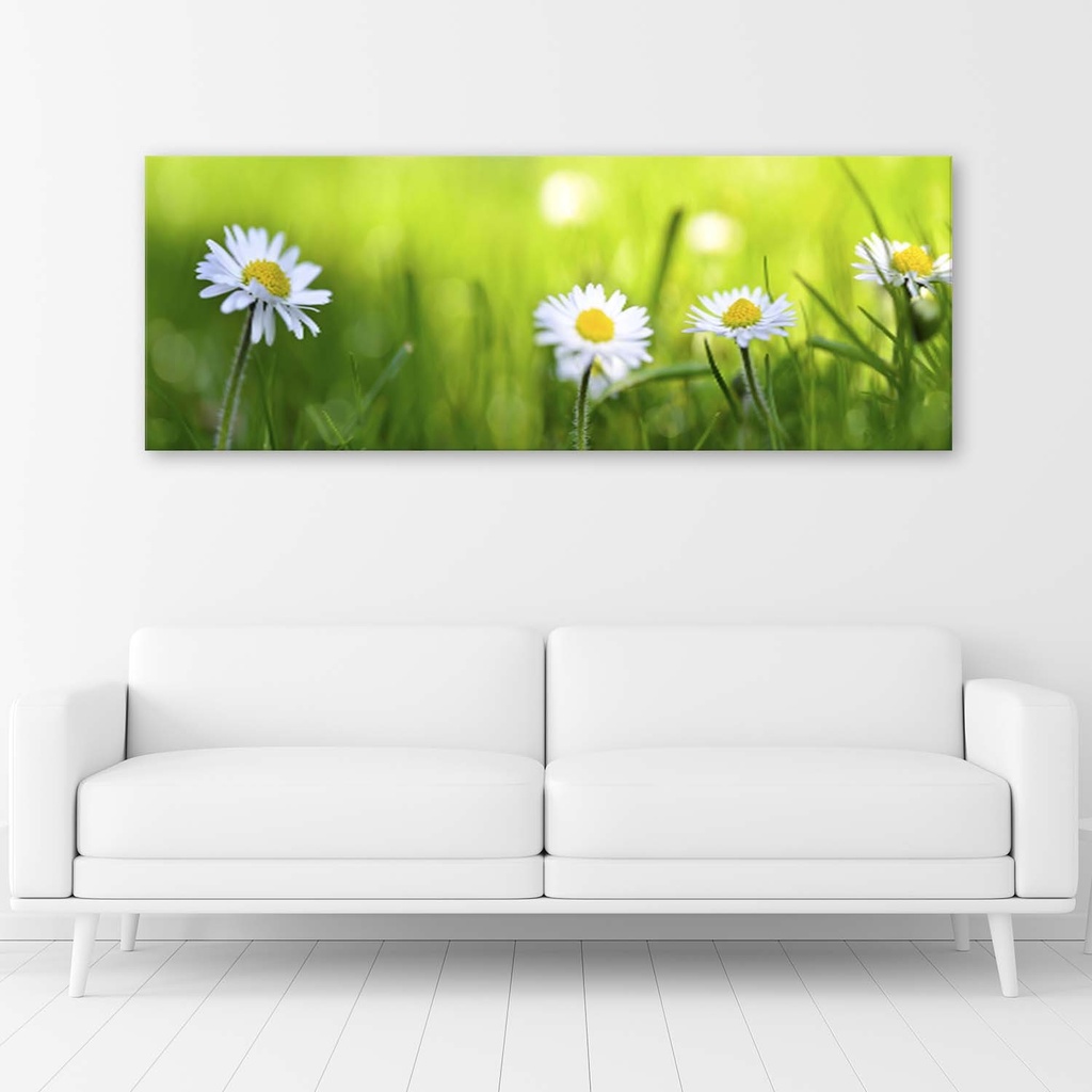 Cadre de marguerites dans l'herbe imprimé sur toile en mdf solide feeby-01