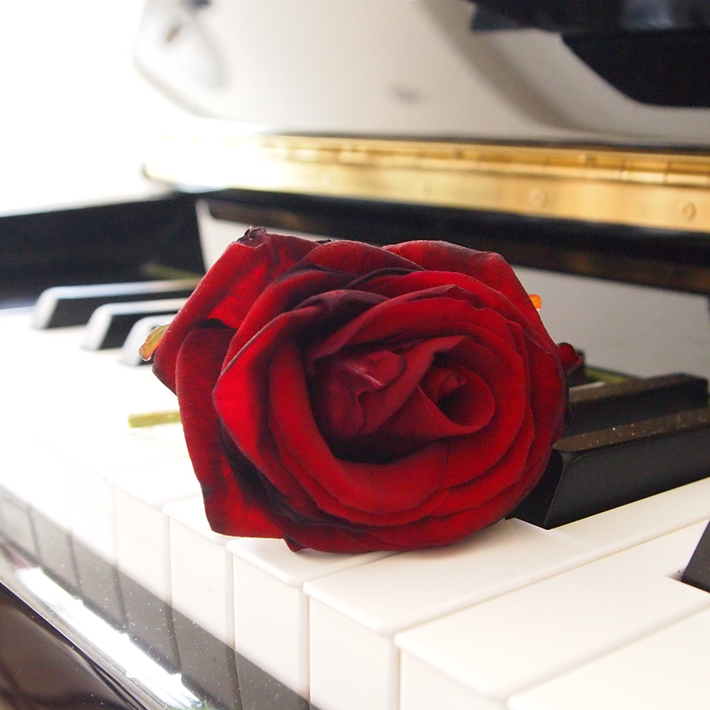 Paravent avec image d'une rose sur un piano fabriqué en mdf et toile feeby-02