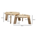 Design Table Basse Lot de 2 Tables de Salon en Bois Massif de Manguier Ensemble de Tables Lumineuse Table en Bois Table d'Appoint Ronde WL6.344_03