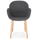 Fauteuil design Elegans-01