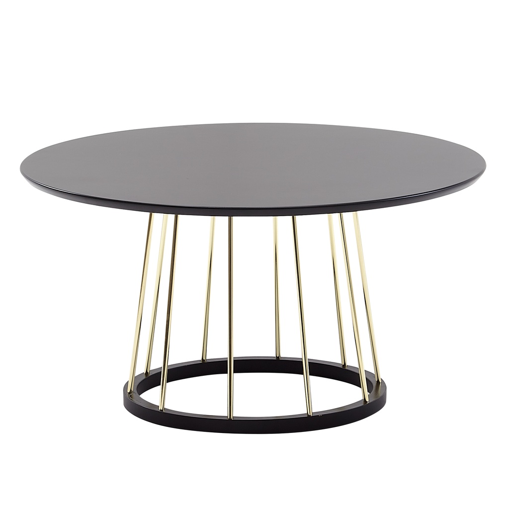 Table basse ronde 80 x 80 x 42 cm Noir Doré Table de canapé en métal Table de salon ronde moderne Table de salon Table de salon Grande WL6.489