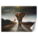 Photo murale en toile décorative avec aspect 3d motif éléphant errant