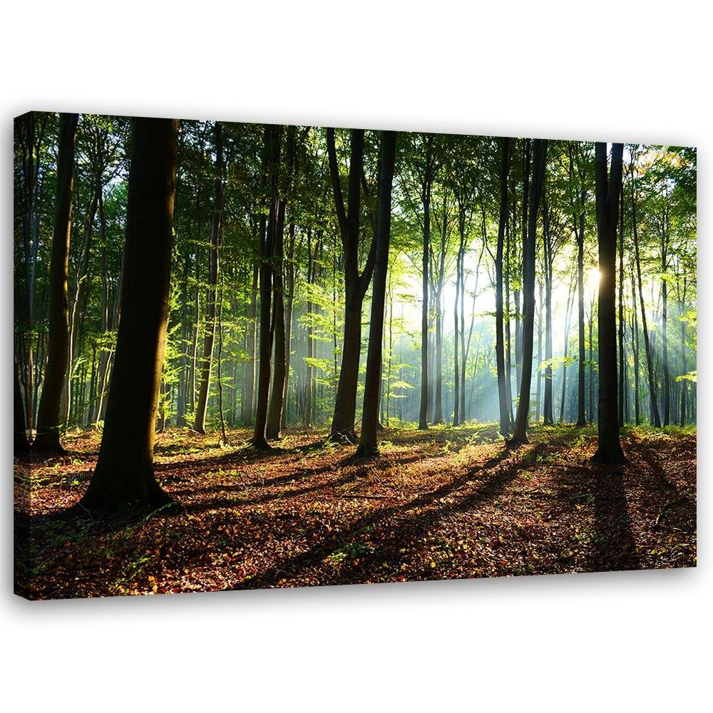 Cadre rectangulaire en mdf et toile avec image décorative d'un bois au lever du soleil