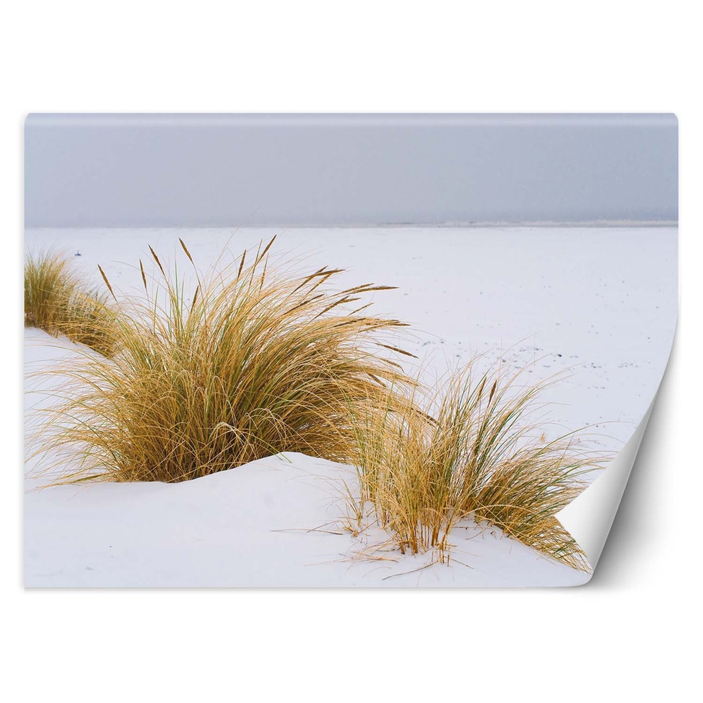 Papier peint rectangulaire imprimé sur toile avec finition beige dunes de sable doré