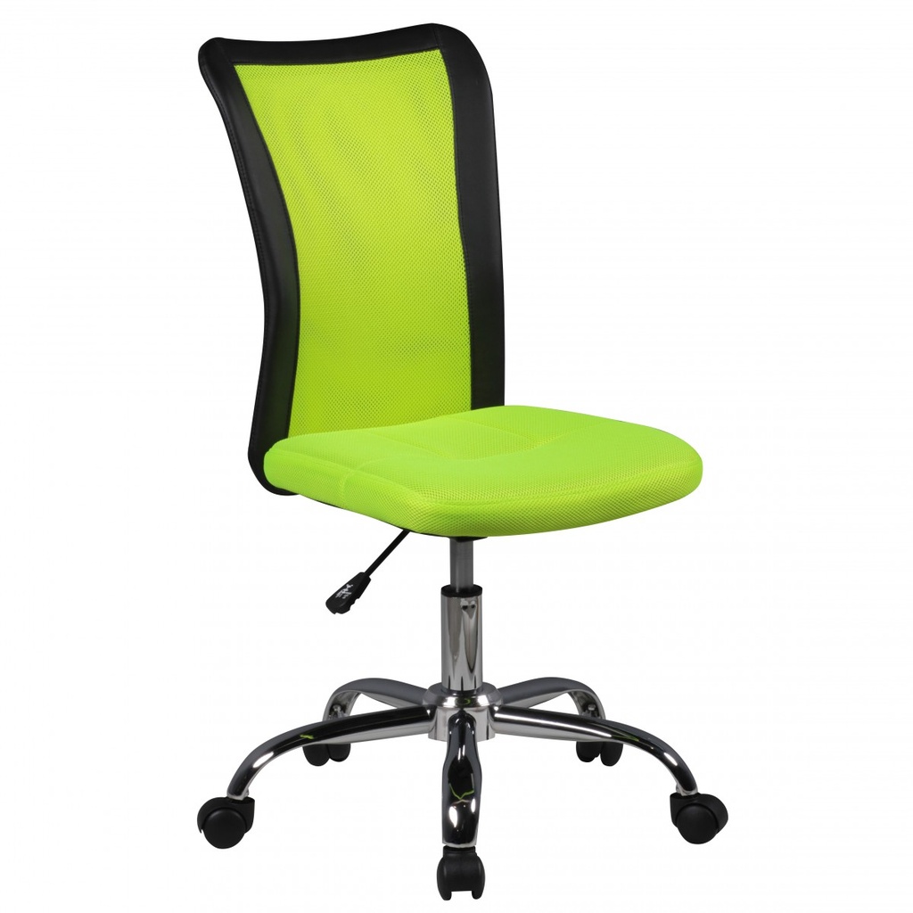 Chaise de bureau pour enfants LUKAS vert pour enfants à partir de 6 ans avec dossier et roulettes souples