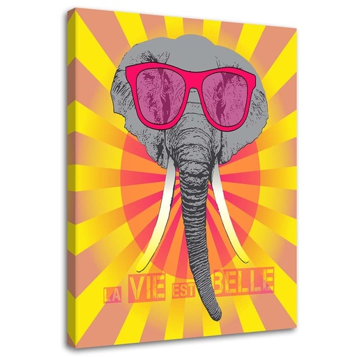 Cadre imprimé sur toile avec image d'éléphant avec des lunettes fabriqué en mdf