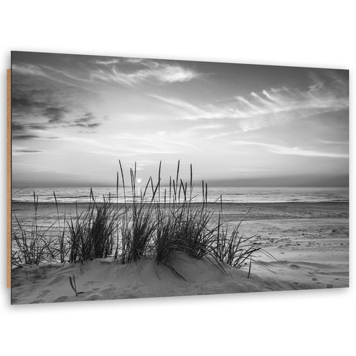 Cadre décoratif en hdf imprimé sur papier herbes sur la plage noir et blanc