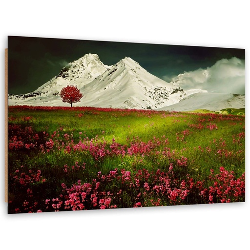 Cadre décoratif horizontal en hdf imprimé sur papier montagnes enneigées avec prairie colorée