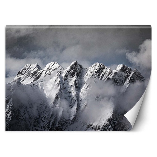 Papier peint imprimé sur toile avec colle motif montagne en hiver