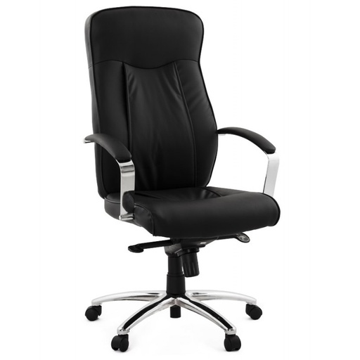 [A00097] Fauteuil de bureau élégant Dwayne